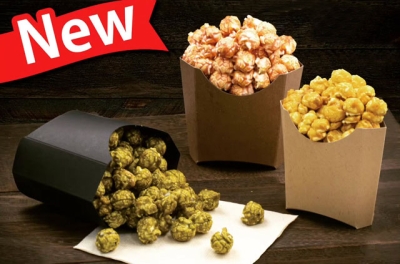 フライバックカートンFGB100Wモカ（50入）