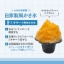 フローズンマンゴーチャンク（500ｇ×20袋）